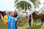 В Арзамасском районе благословили лошадей