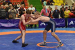 Более 250 спортсменов приняли участие в международном турнире по вольной борьбе на призы АО «АПЗ»