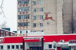 «Хотели как лучше, а получили выговор»: Появилась история возникновения оленя на фасаде многоэтажки в Арзамасе