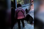 «Защищала себя и других пассажиров»: В МУП «Арзамаспассажиравтотранс» прокомментировали драку кондуктора с пьяной женщиной