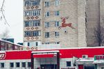 «Знаменитого оленя больше нет»: В Арзамасе рабочие принялись утеплять фасад с изображением животного (фото)