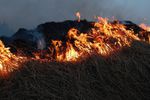 В Нижегородской области за сутки произошло 11 возгораний травы и мусора