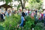Ботанический сад Арзамасского филиала ННГУ продолжает удивлять и радовать своих посетителей