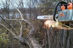 Работы по вырубке сухостойных, аварийных и уборке упавших деревьев на береговой территории Смирновского пруда