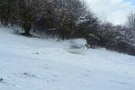 Юноша погиб, катаясь на снегокате, привязанном к авто в Арзамасском районе (видео)