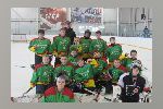 Юные арзамасские хоккеисты выиграли областной финал «Золотой шайбы»