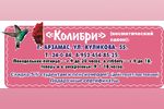 Хозяйка косметического салона «Колибри» Ю. Г. Козлова: «Спешите к нам за молодостью, здоровьем, красотой»