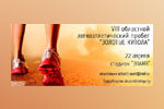 Областной легкоатлетический пробег «Золотые купола», посвященный Дню Победы, пройдет в Арзамасе