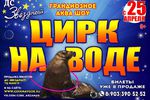 Аква-шоу Московский Цирк на воде