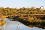 Поправки в областной закон позволят очистить дно 13 нижегородских рек