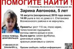 Поисковики просят проезжавших 18 августа в Вознесенском районе Нижегородской области автомобилистов предоставить записи с видеорегистраторов