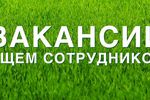Территориальный орган Федеральной службы государственной статистики по Нижегородской области осуществляет набор переписного персонала