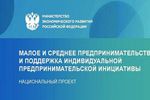 Нижегородские предприниматели прокредитовались на 21 млрд руб. по программе «1764»