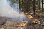 Пожары из-за пала сухой травы уже начались в Нижегородской области