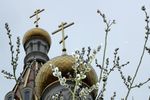РПЦ рекомендовала верующим остаться дома в Вербное воскресенье