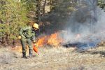 Арзамасская полиция проводит работу по профилактике лесных пожаров