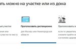 Голосовать за поправки в Конституцию нижегородцы смогут очно и онлайн