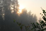 Названы районы Нижегородской области, где могут загореться леса