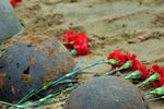 Онлайн-сервис «Найти солдата» функционирует в рамках проекта «Установление судеб погибших и пропавших без вести защитников Отечества»