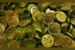 Торговцев поддельными старинными монетами задержали в Арзамасе