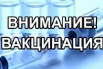 Роспотребнадзор по Нижегородской области постановил провести обязательную вакцинацию для отдельных категорий граждан