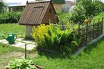 Около 2% жителей Нижегородской области пишут в резюме о любви к даче и огороду