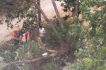 Упавшее от ветра дерево убило человека в Арзамасе (видео)