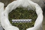 В Арзамасе полицейские задержали мужчину с 14 граммами марихуаны