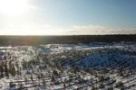 Интернет-проект «Лес будущего» среди школьных лесничеств стартовал в Нижегородской области