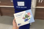 В Нижегородской области страховку от клещей можно приобрести на почте